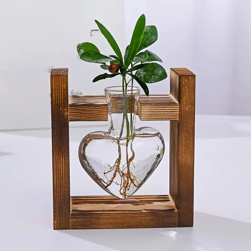 Air Plant Terrarium With Heart Shape Vase and Wooden Stand