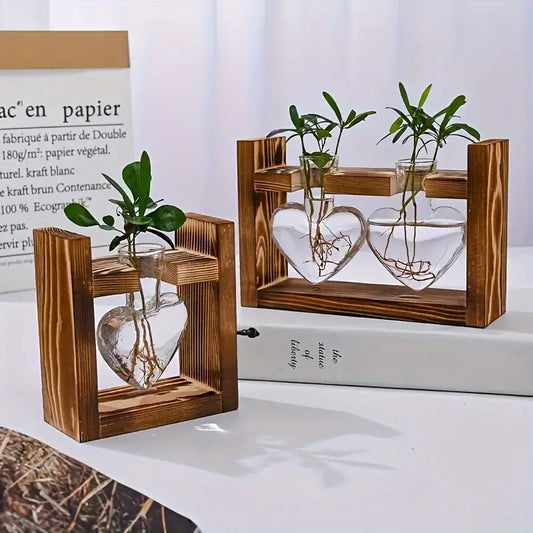 Air Plant Terrarium With Heart Shape Vase and Wooden Stand