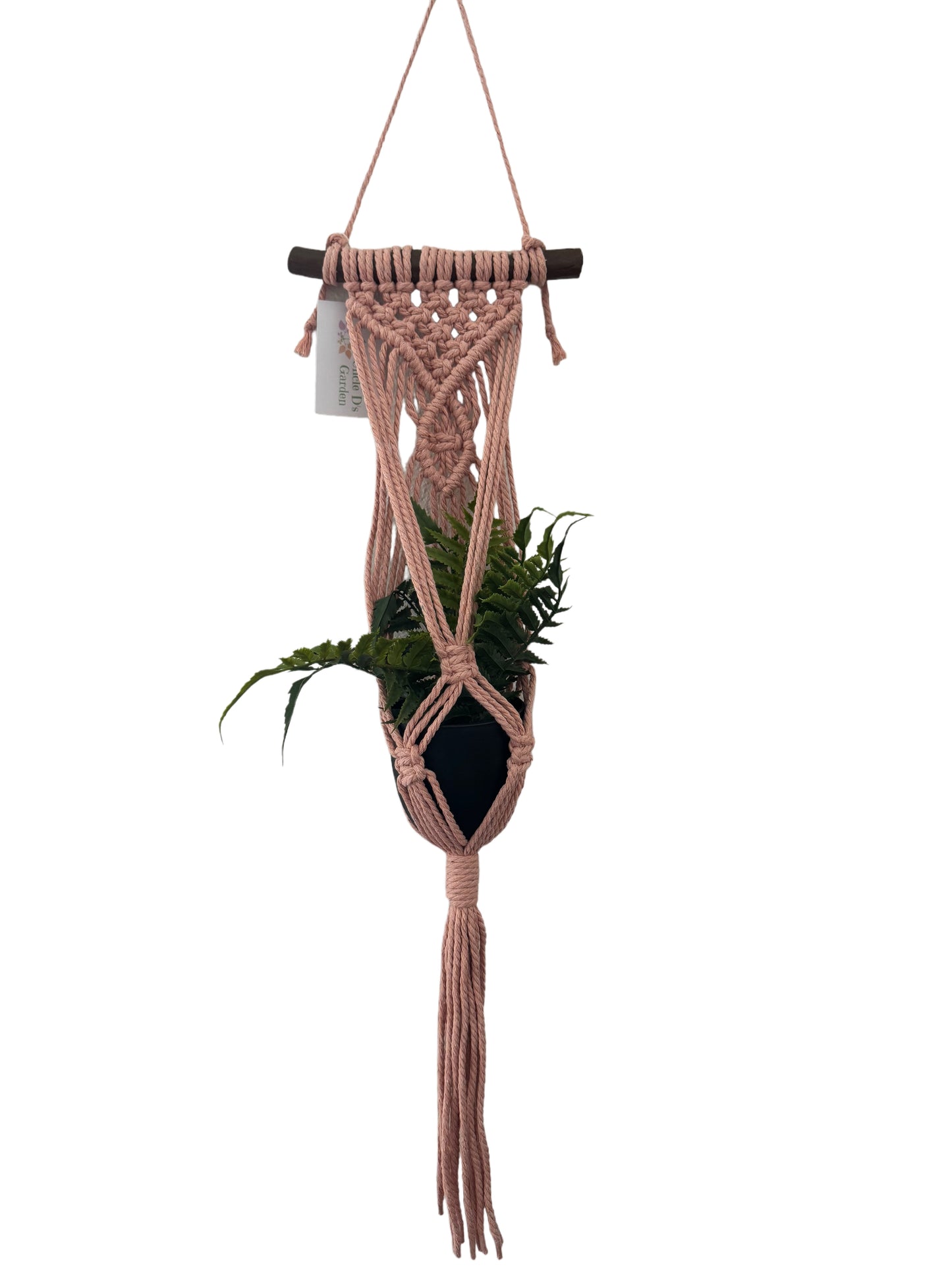 Macrame Mini Plant Hanger