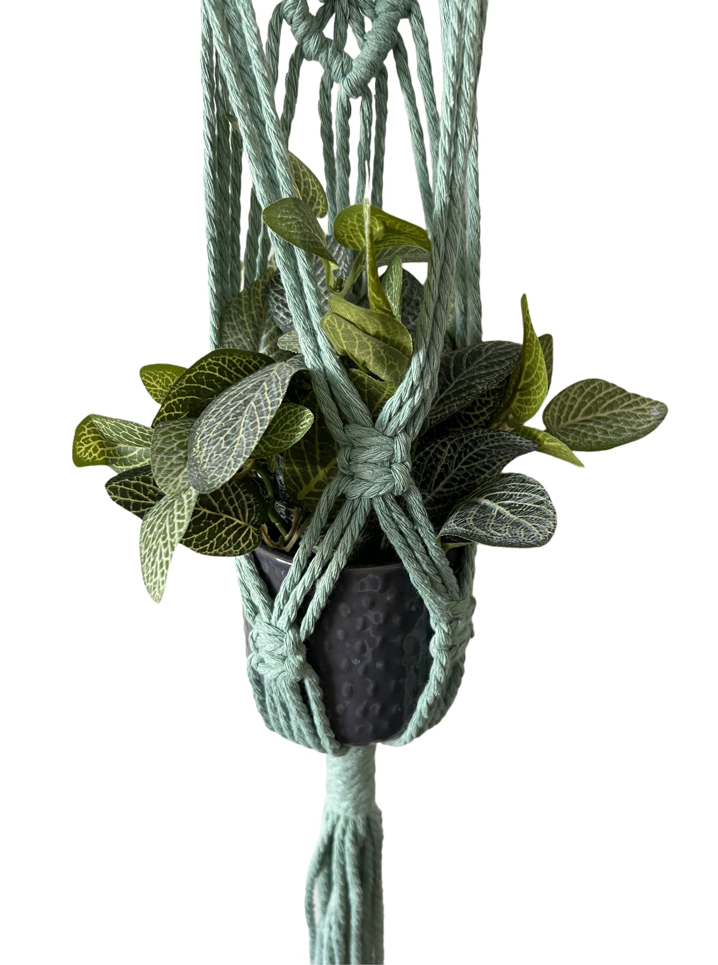 Macrame Mini Plant Hanger