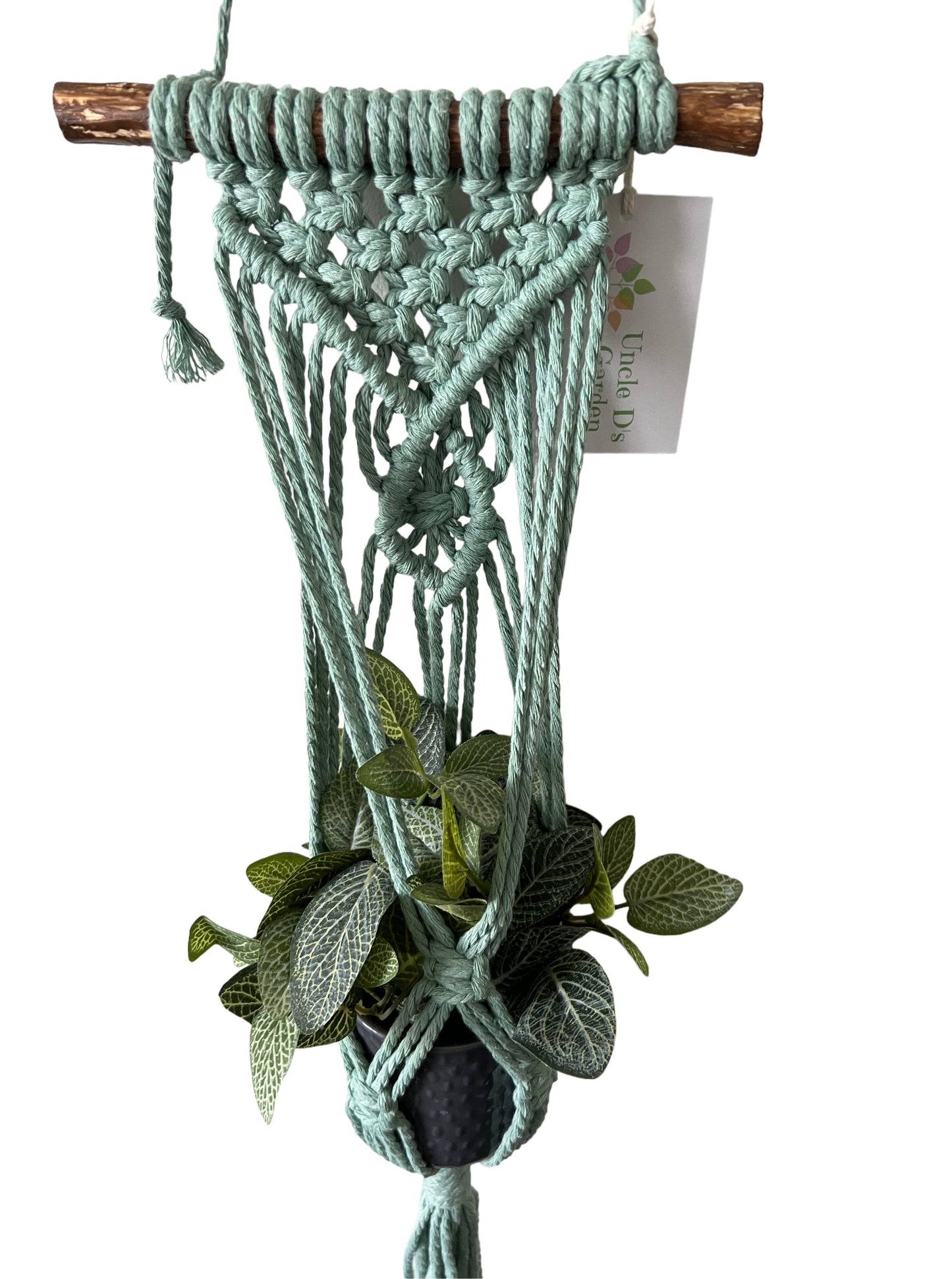 Macrame Mini Plant Hanger