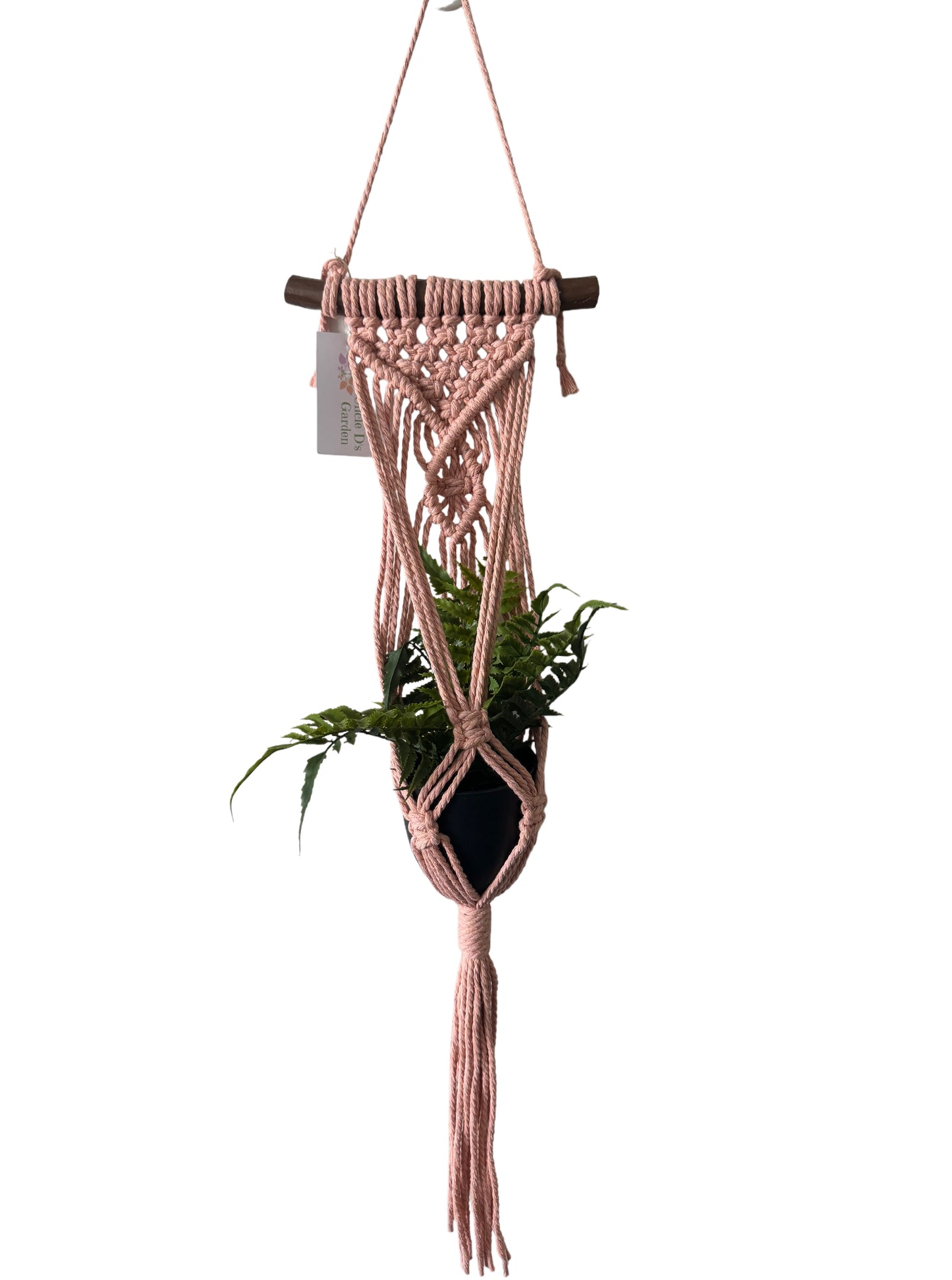 Macrame Mini Plant Hanger