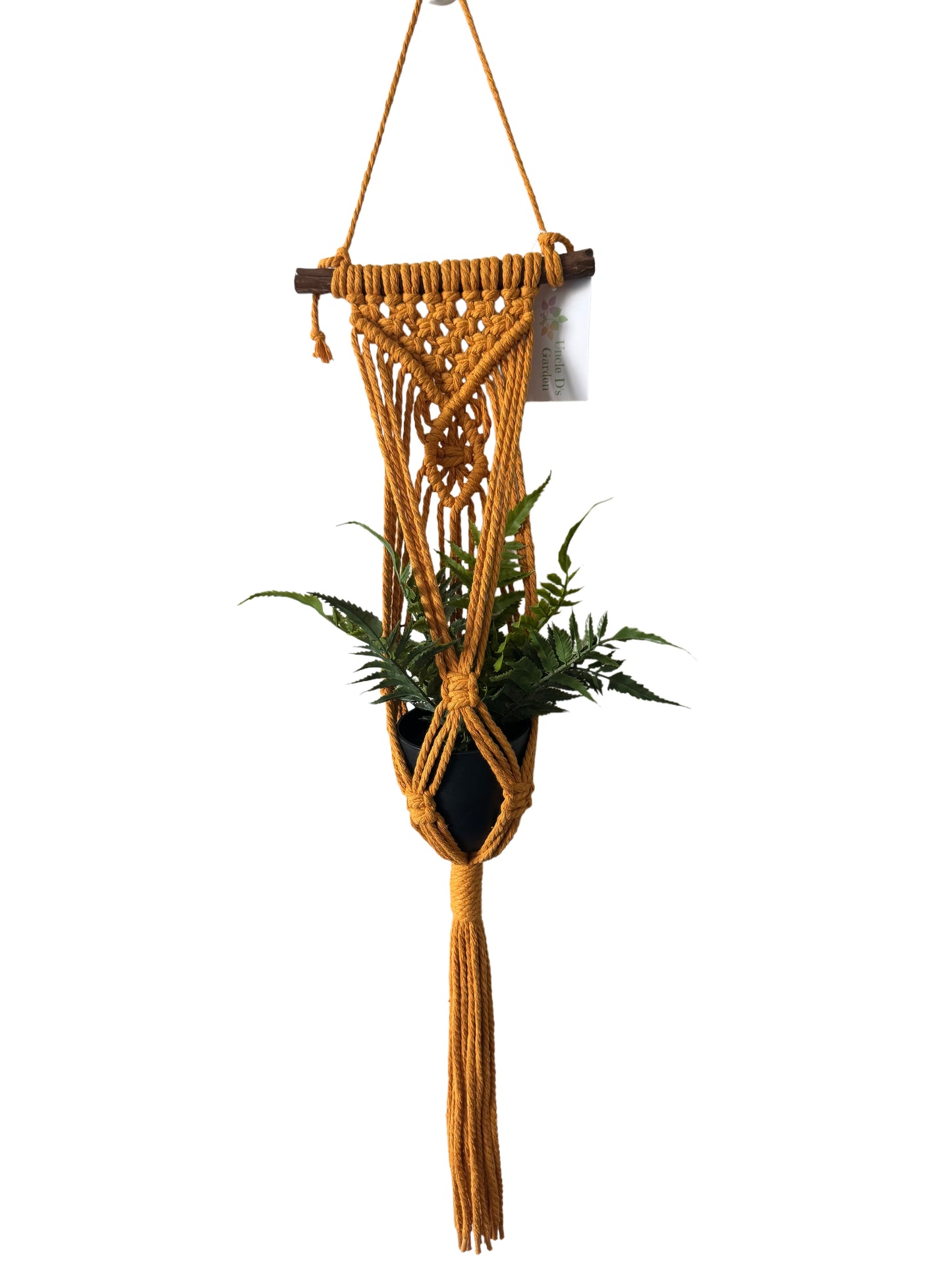 Macrame Mini Plant Hanger