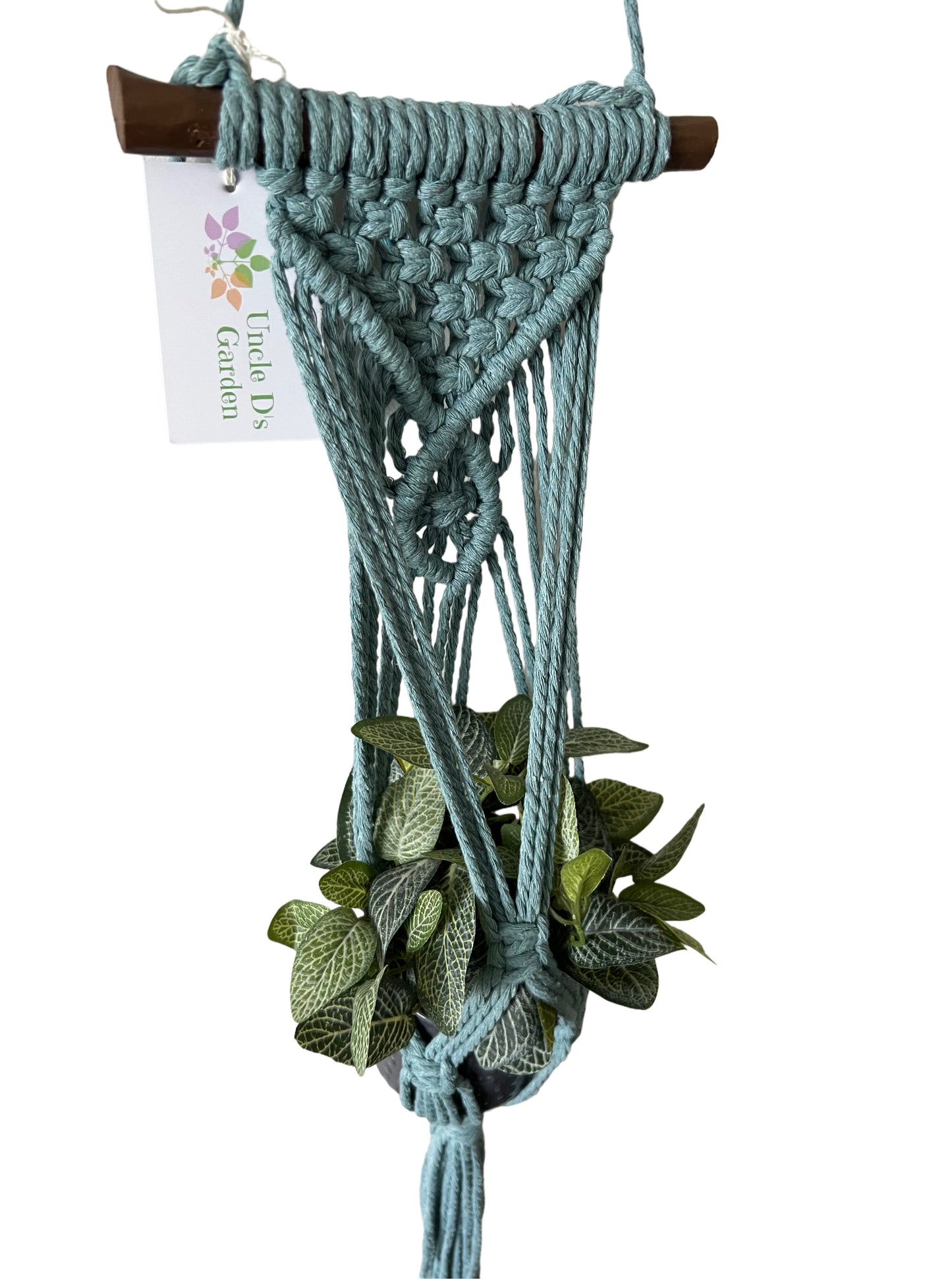 Macrame Mini Plant Hanger